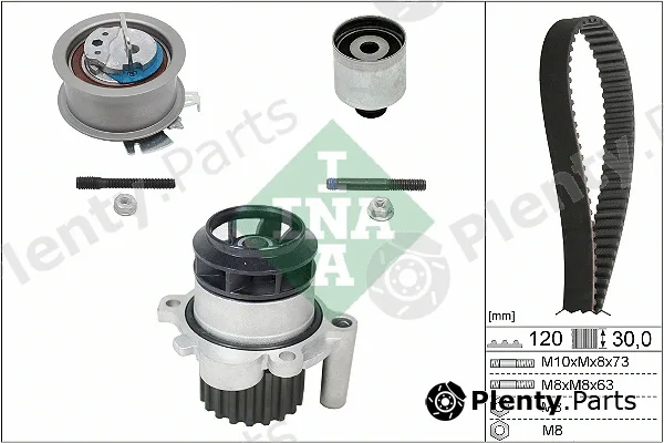 INA 530020130 — Water Pump & Timing Belt Kit