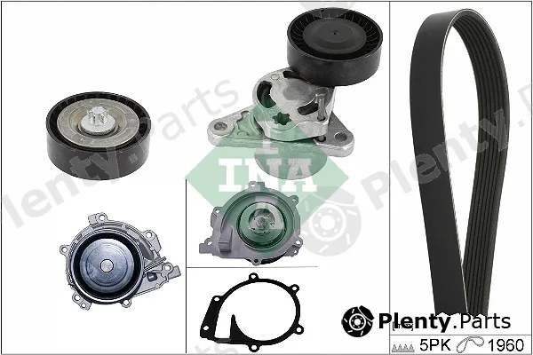 INA 529048730 — Water Pump + V-Ribbed Belt Kit