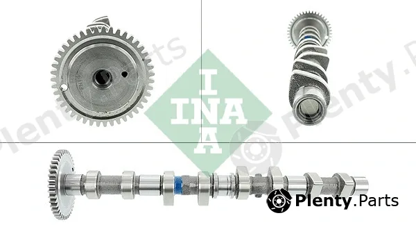 INA 428009210 — Camshaft