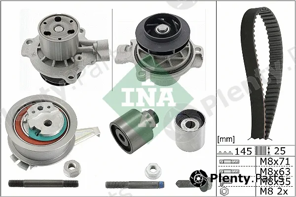 INA 530065031 — Water Pump & Timing Belt Kit