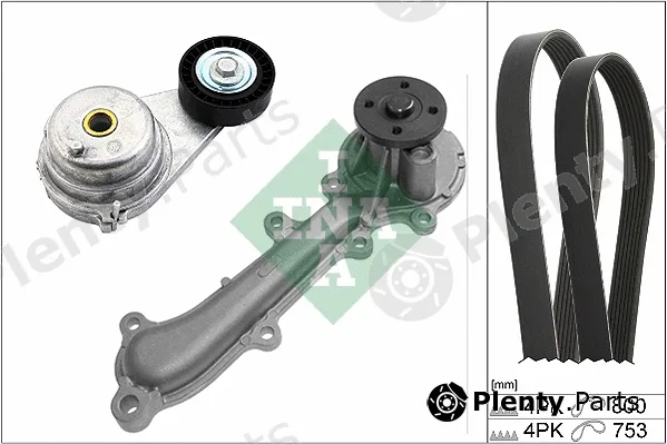 INA 529012130 — Water Pump + V-Ribbed Belt Kit