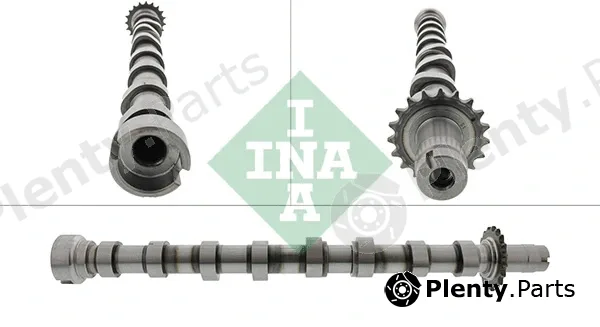 INA 428016810 — Camshaft