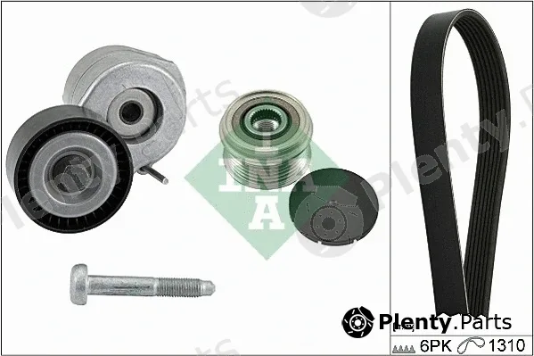INA 529017910 — V-Ribbed Belt Set