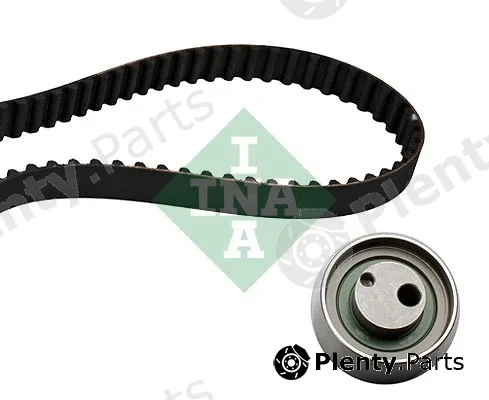 INA 530032410 — Timing Belt Kit