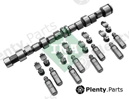INA 428004330 — Camshaft Kit