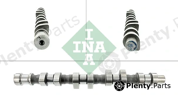 INA 428009310 — Camshaft