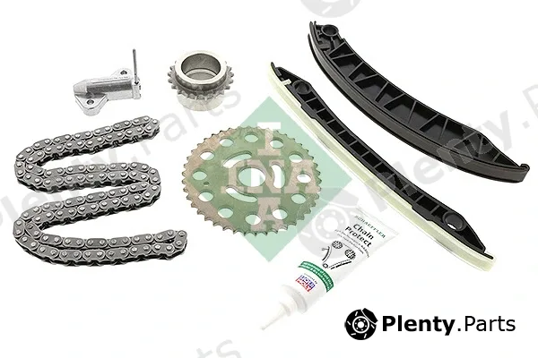 INA 559017130 — Timing Chain Kit