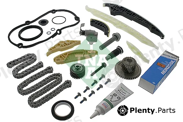 INA 559019641 — Timing Chain Kit