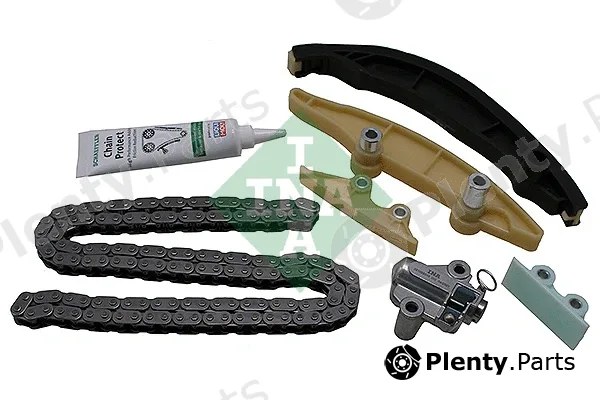 INA 559100020 — Timing Chain Kit