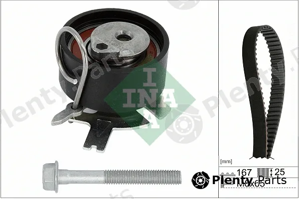INA 530073010 — Timing Belt Kit