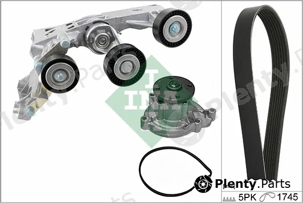 INA 529014830 — Water Pump + V-Ribbed Belt Kit