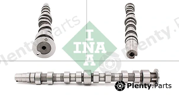 INA 428017210 — Camshaft