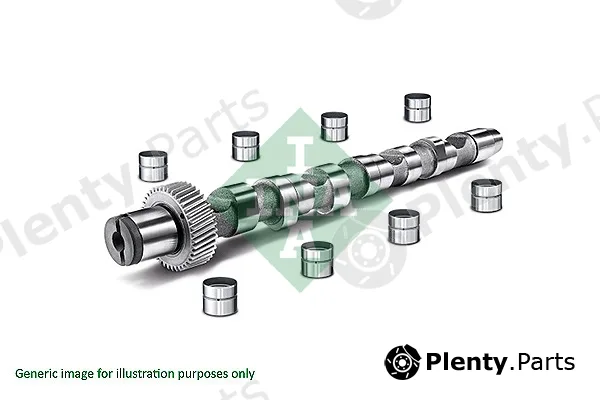 INA 428003230 — Camshaft Kit