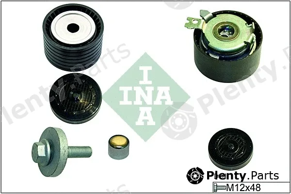 INA 530063909 — Pulley Kit, timing belt