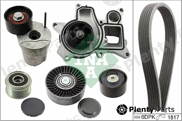INA 529001430 — Water Pump + V-Ribbed Belt Kit