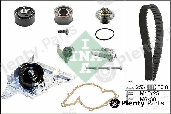INA 530017930 — Water Pump & Timing Belt Kit