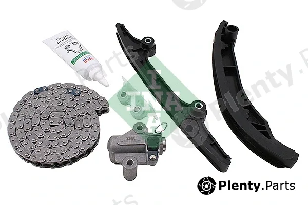 INA 559019310 — Timing Chain Kit