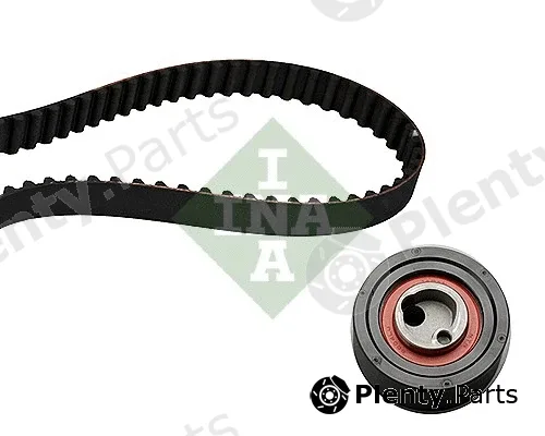INA 530032010 — Timing Belt Kit