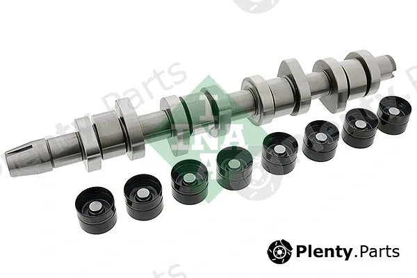INA 428004230 — Camshaft Kit