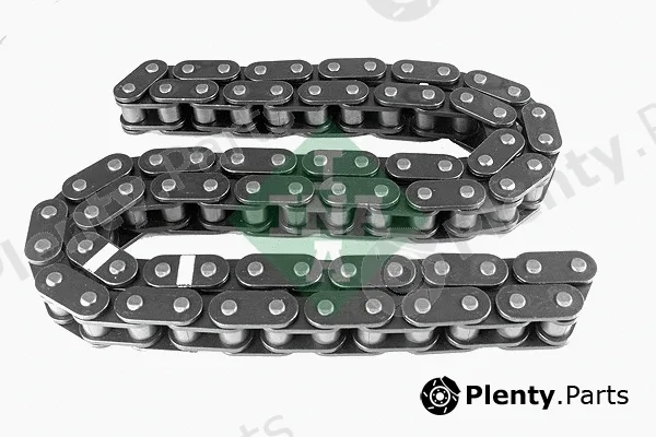 INA 553025110 — Timing Chain