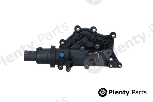 NRF 725038 — Thermostat, coolant