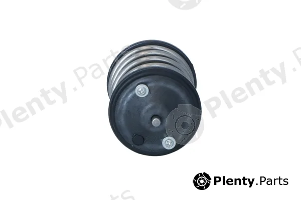 NRF 725274 — Thermostat, coolant