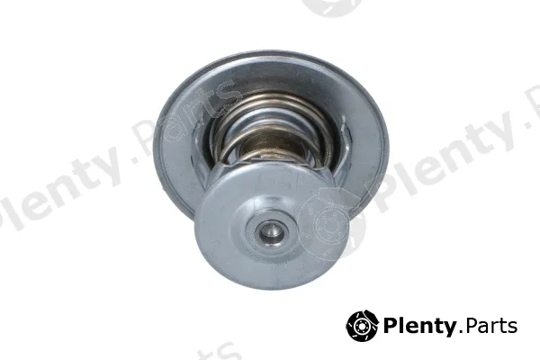 NRF 725253 — Thermostat, coolant