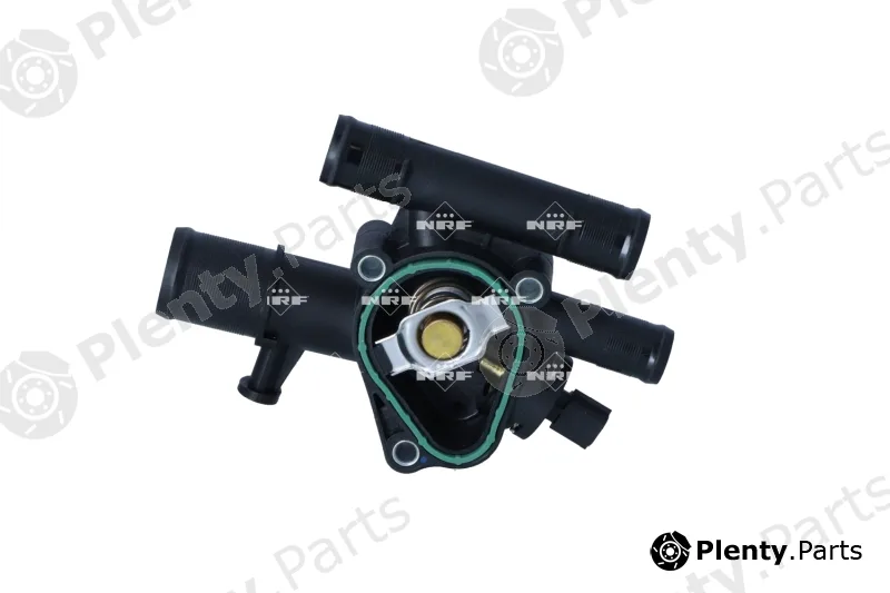 NRF 725300 — Thermostat, coolant