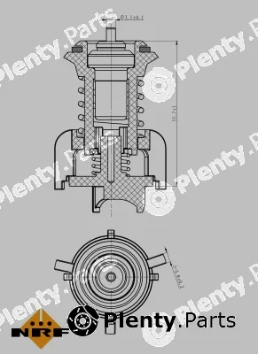 NRF 725095 — Thermostat, coolant