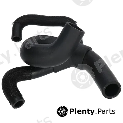 Birth 54685 — Radiator Hose