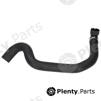 Birth 54750 — Radiator Hose