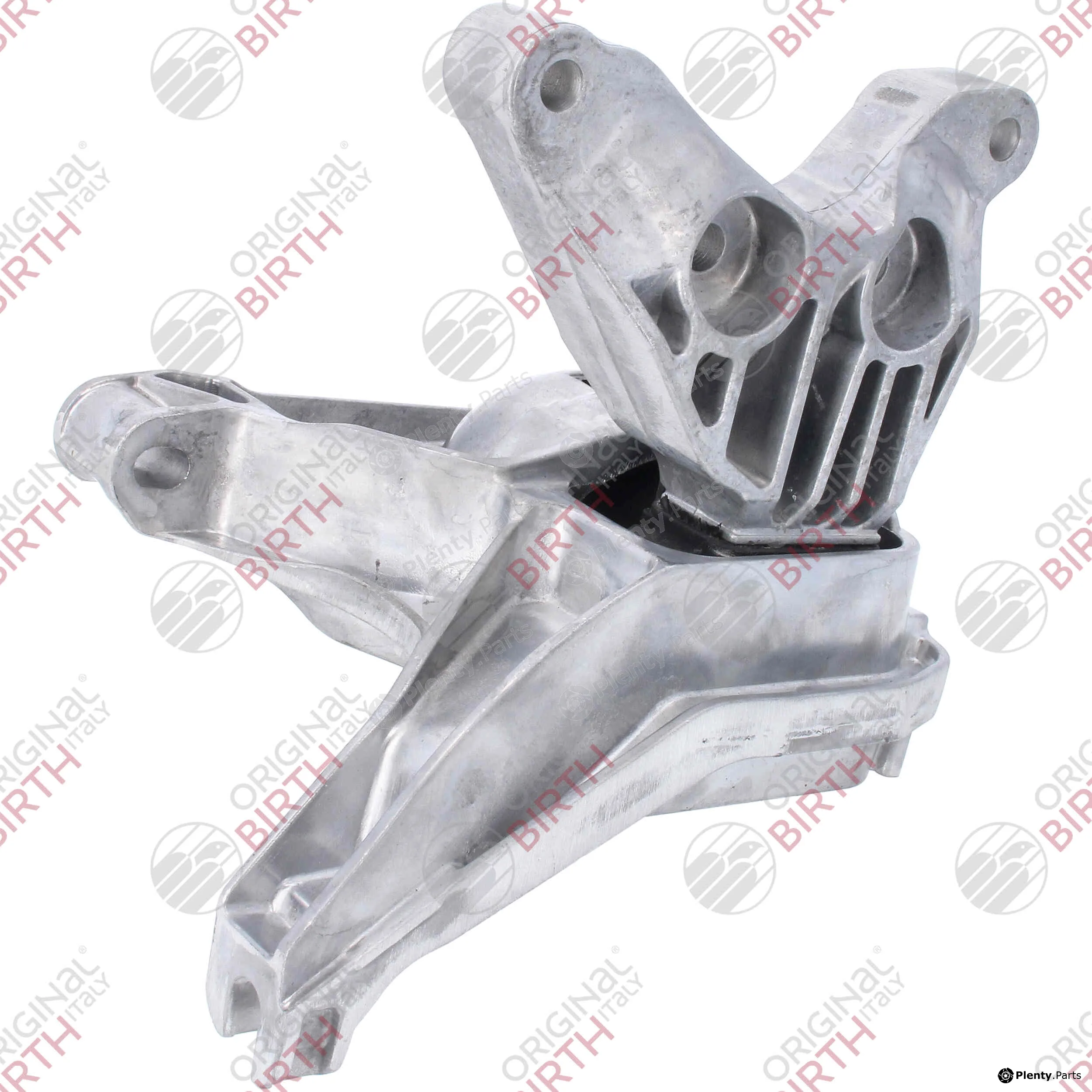 Birth 57060 — Mounting, engine