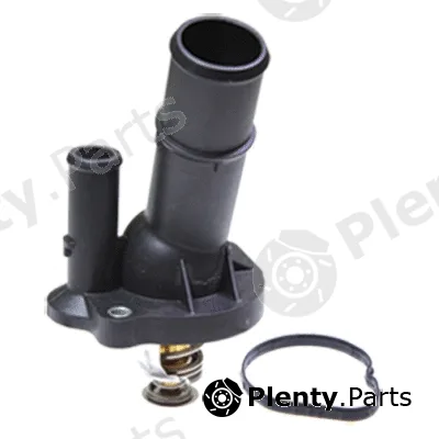 Birth 80194 — Coolant Flange