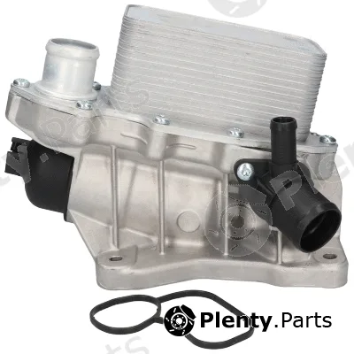 Birth 80811 — Oil Cooler, engine oil