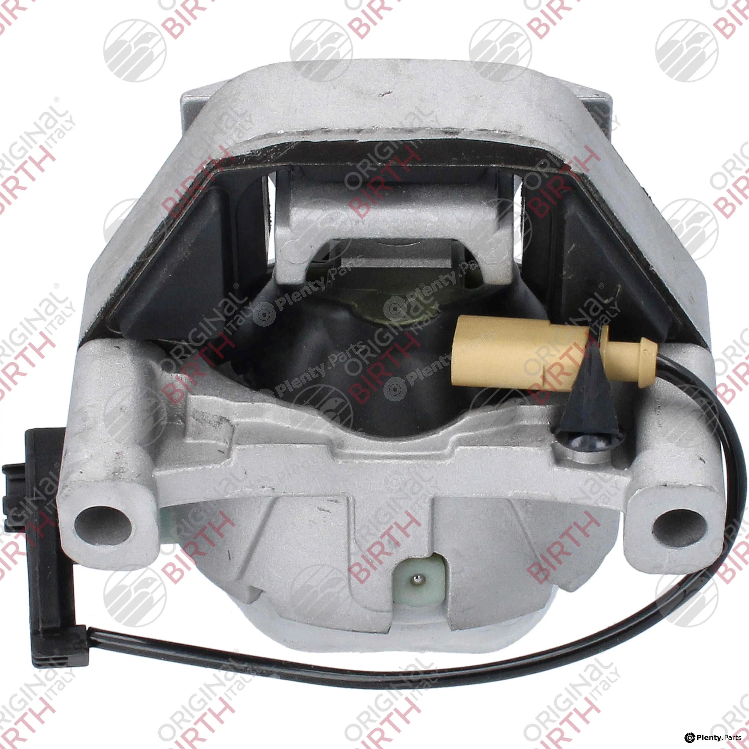 Birth 57067 — Mounting, engine