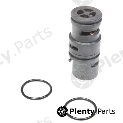 Birth 80236 — Coolant Flange