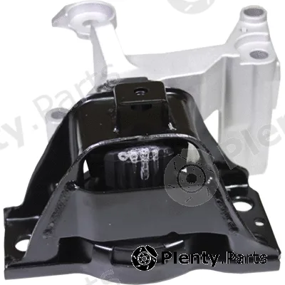 Birth 53005 — Mounting, engine