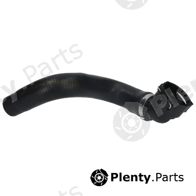 Birth 54819 — Radiator Hose