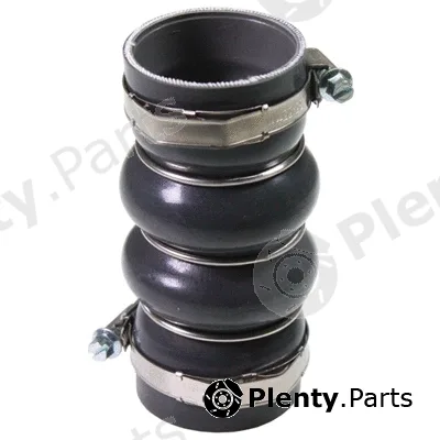 Birth 54324 — Charge Air Hose