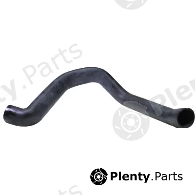 Birth 54325 — Charge Air Hose