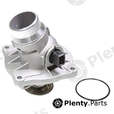 Birth 80244 — Coolant Flange