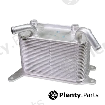 Birth 80733 — Oil Cooler, engine oil