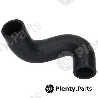 Birth 54701 — Radiator Hose