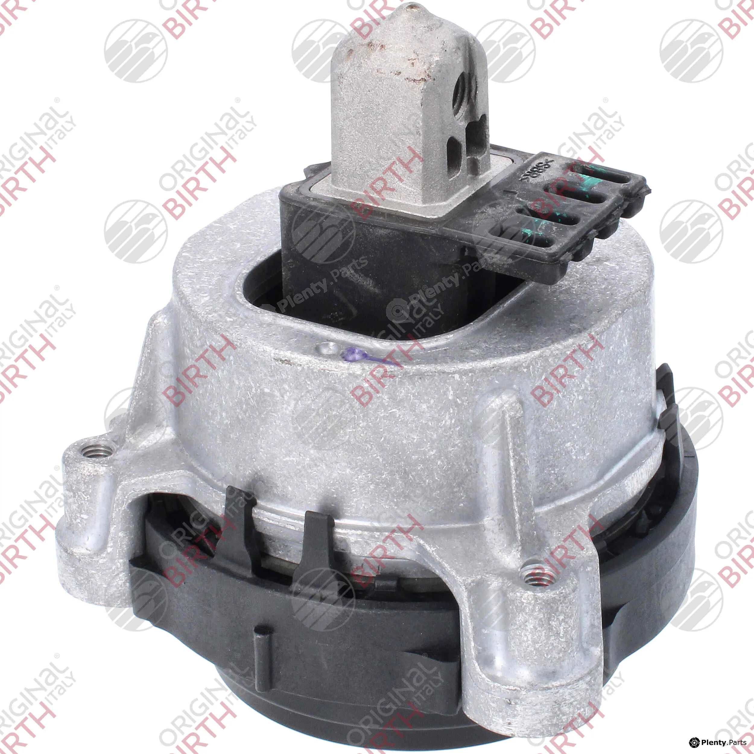 Birth 57063 — Mounting, engine