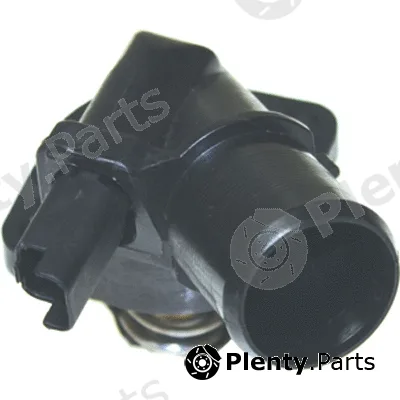 Birth 8877 — Coolant Flange