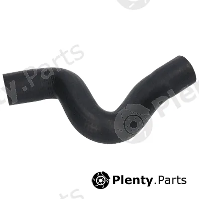 Birth 55236 — Radiator Hose