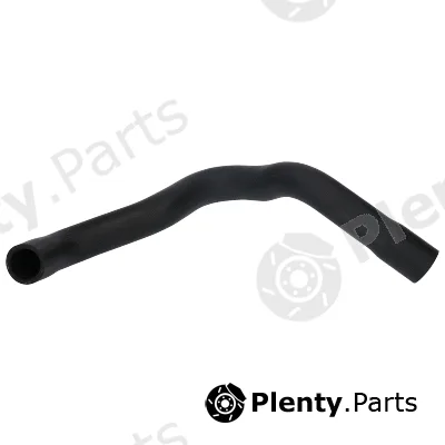 Birth 55290 — Radiator Hose
