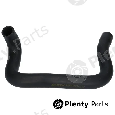 Birth 54891 — Radiator Hose