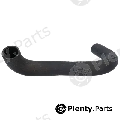 Birth 55308 — Radiator Hose