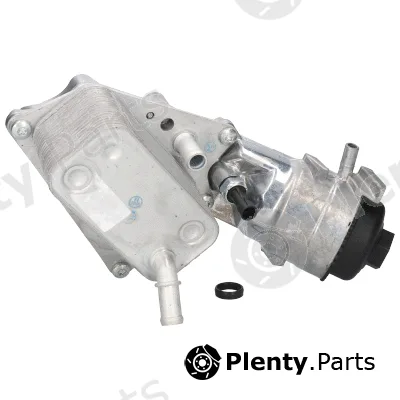 Birth 80810 — Oil Cooler, engine oil